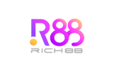 ng合作厂商RICH88电子.png
